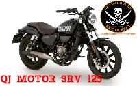 SUPPORTS SACOCHES QJ MOTOR SRV 125...SP1882NE NOIR...Supports De Sacoches Latérales QJ MOTOR SRV 125 Standard
