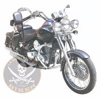 BARRE de PROTECTION MOTEUR DAELIM 125 DAYSTAR + ROMET...SP0740NDNE NOIR...SPAAN LA BOUTIQUE DU BIKER