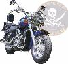 SUPPORT PHARE ADDITIONNEL KAWASAKI VN800 CLASSIC...SP300 SPAAN LA BOUTIQUE DU BIKER