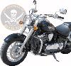 BARRE DE PROTECTION MOTEUR KAWASAKI VN900 CLASSIC CHROME...SP684 SPAAN LA BOUTIQUE DU BIKER