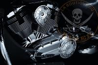 EMBOUT DE SELECTEUR VICTORY KURYAKYN LONG...K8856 KURYAKYN PEG SHIFT LONG VICTORY 16030202 / 8856...LA BOUTIQUE DU BIKER