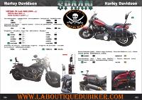 SISSI-BAR HD SOFTAIL FX A PARTIR 2017 AVEC PORTE PAQUET...SP1623CH CHROME HAUTEUR 50CM  #LABOUTIQUEDUBIKER