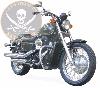 BARRE de PROTECTION MOTEUR HONDA VT750 S CHROME...SP329...SPAAN-LA BOUTIQUE DU BIKER