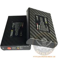 CHAUSSETTES CHAUFFANTES BATTERIE...PE21130719 CAPIT WARMME BATTERY VEST 2200M