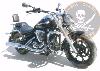 SISSY BAR YAMAHA 950 MIDNIGHT STAR...HAUTEUR 26cm SANS PORTE PAQUET...SP801B CHROME... LA BOUTIQUE DU BIKER